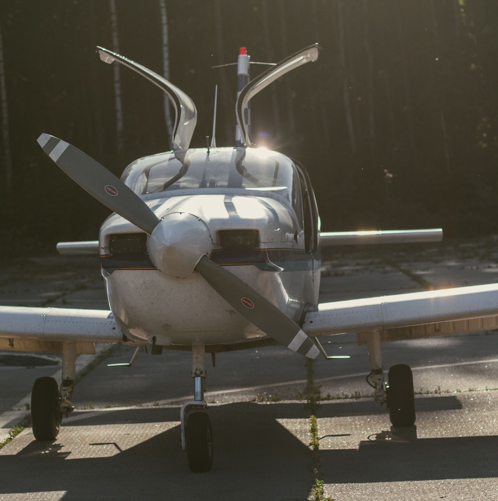 Late sun catching the propeller, spinner and cowling of a low-wing single-engine aircraft on a concrete apron.